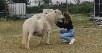 mahé pet sitter à PARIS 20 75020_2