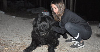 Violette pet sitter à LA CHAPELLE SUR ERDRE 44240_2