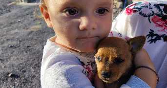 oceane pet sitter à BIGUGLIA 20620_1