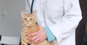 noëmie pet sitter à MAISONS ALFORT 94700_5