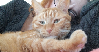 agathe pet sitter à ST GILLES 30800_2