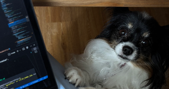 ludovic pet sitter à VELIZY VILLACOUBLAY 78140_2