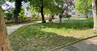 mélanie pet sitter à MANTES LA JOLIE 78200_2