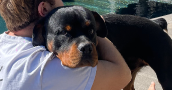margot pet sitter à HYERES 83400_2