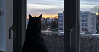 mégane pet sitter à CREPY EN VALOIS 60800_6