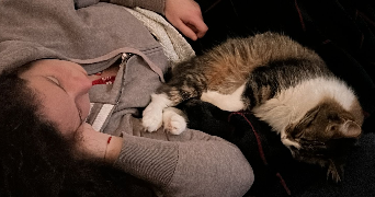 zoe cat sitter à ST GERMAIN NUELLES 69210_0