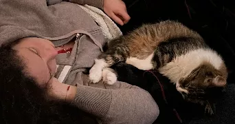 zoe cat sitter à ST GERMAIN NUELLES 69210