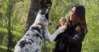 marine pet sitter à BEDOUS 64490