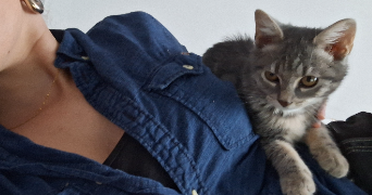 jordane pet sitter à QUETIGNY 21800_0