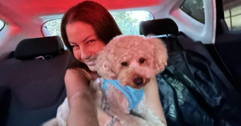 radina pet sitter à PARIS 01 75001_3