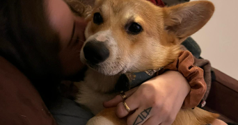 manon pet sitter à NANCY 54000_4