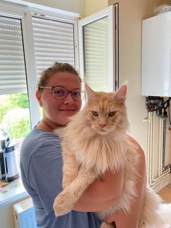 Sandra pet sitter à Gomelange 57220_0