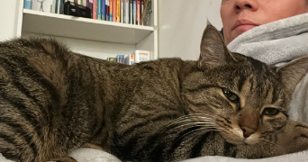 celine pet sitter à VILLEBON SUR YVETTE 91140_5