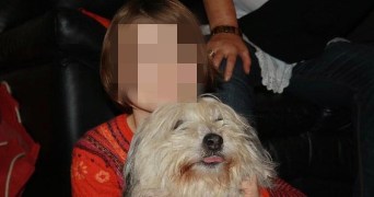 ilona pet sitter à HAGONDANGE 57300_2