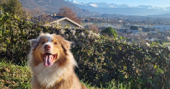 noémie pet sitter à Villeurbanne 69100_4