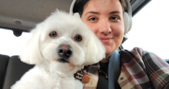 lise pet sitter à LA SUZE SUR SARTHE 72210_0