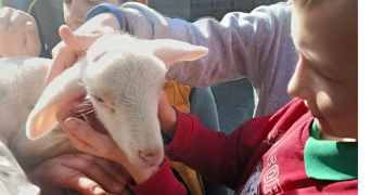 marie-cecile pet sitter à PARIS 15 75015_1