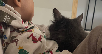 laura pet sitter à LE MANS 72000_4