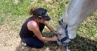 lara pet sitter à GROSSETO PRUGNA 20166_3