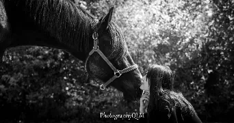 noemie pet sitter à CORME ROYAL 17600