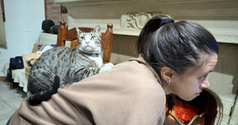 carolina pet sitter à CAMBRAI 59400_4