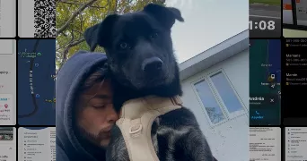 jeremy dog sitter à GRUFFY 74540