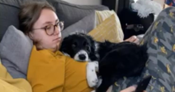 solenne pet sitter à SARTROUVILLE 78500_2