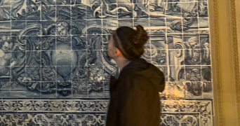 julien pet sitter à ST BRICE SOUS FORET 95350_0