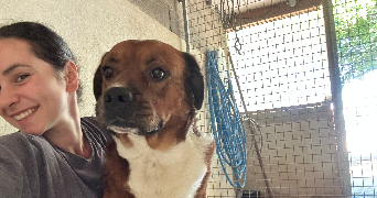 vanessa pet sitter à MARSEILLE 06 13006_8