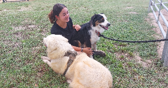 lylou pet sitter à ST DONAT SUR L HERBASSE 26260_2