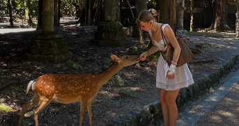 hana pet sitter à ST MARTIN D HERES 38400_1