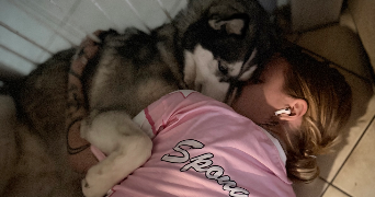 evy pet sitter à CHATILLON EN VENDELAIS 35210_2