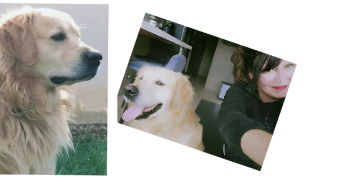 sylvie pet sitter à CEINTREY 54134_9