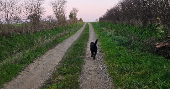 abigaïlle pet sitter à PORNIC 44210_2