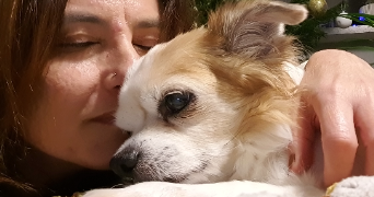 anne pet sitter à MONTAGNAT 01250_2