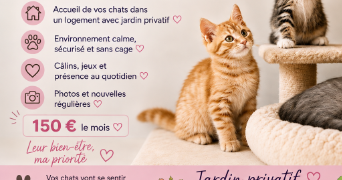gina cat sitter à MELUN 77000_1