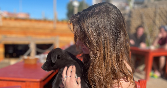 kayleigh pet sitter à ST MARTIN LE VINOUX 38950_0