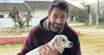 tony pet sitter à VILLEMADE 82130_0