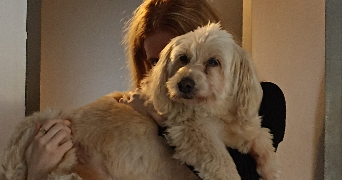 emma pet sitter à NANTES 44000_3