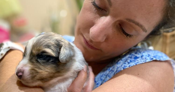 emilie pet sitter à TOULON 83200_1