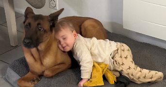 cecile pet sitter à LE TRAIT 76580_0