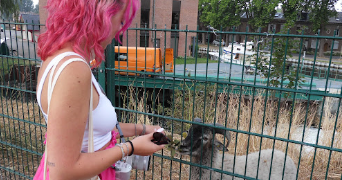 cassandre pet sitter à SAUMUR 49400_1