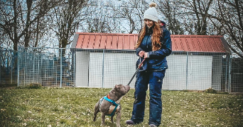 cecilia pet sitter à RAMBOUILLET 78120_5