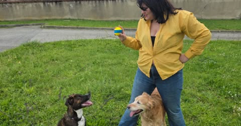 margot pet sitter à FONSORBES 31470_1