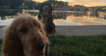 séverine pet sitter à TOULOUSE 31000_9