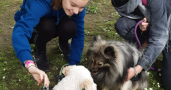 fanny pet sitter à VILLENEUVE LE ROI 94290_2