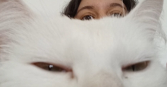 clémence cat sitter à VALENCE 26000_2