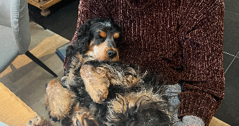 clotilde pet sitter à calais 62100_6