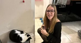 flora pet sitter à ELANCOURT 78990