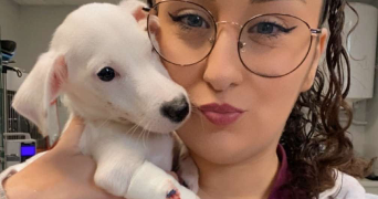 mélissa pet sitter à DAMPIERRE EN YVELINES 78720_0